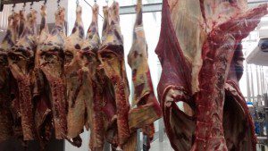 IMG_20150821_101836311