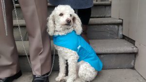 IMG_20160426_113634720