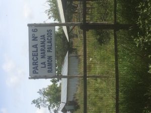 Vecinos de #Purranque denuncian cierre de camino que les impide acceder a sus casas