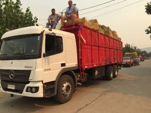 Duras criticas al Gobierno formuló funcionario municipal de Marchigue, tras incendios forestales