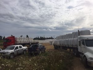 Osorno envía ayuda para agricultores de las regiones de O’Higgins y del Maule