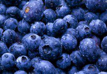 Dificultades logísticas, altos costos y falta de trabajadores opacaron temporada de arándanos