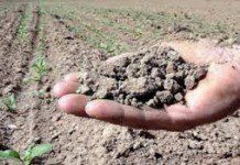 Déficit hídrico de un 21% presenta la provincia de Llanquihue.