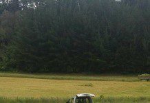 Delincuentes perpetran millonario robo a Chilexprees de Puerto Montt.