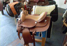 Ofrecen recompensa de 7 millones por datos sobre robo de especies de rodeo