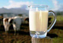 Minagri visita Osorno y se reúne con lecheros afectados por crisis