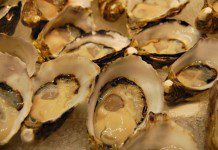 Llaman a consumir mariscos autorizados ante marea roja en Chiloé