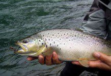 Emprendimiento ofrece pesca, gastronomía y entretención en La Unión