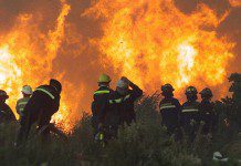 Alerce en alerta roja: 40 hectáreas son consumidas por el fuego