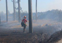 Una vivienda afectada otras en peligro y un brigadista herido deja incendio forestal en Alerce.