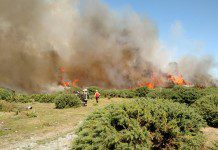 Puerto Montt en Alerta Roja: Tres incendios en matorrales afectan simultáneamente a la comuna