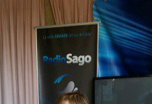 Colegio de Profesores preocupado por despido de maestros en varios DAEM.