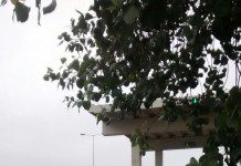 Cuatro muertos en violento accidente de tránsito ocurrido en acceso a Llanquihue.