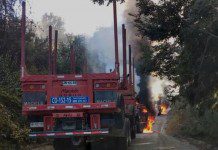 Crece con fuerza la idea de decretar Estado de Excepción en la IX región