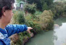 Positiva reunión sostiene Comité de Gestión Cuenca del Rahue y Damas para el cuidado de los ríos osorninos