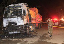 CNTC brinda total apoyo a transportistas y contratistas forestales