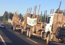 800 máquinas del sector forestal se movilizan en repudio a atentados terroristas