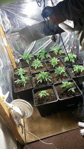 IMG-20160315-WA0026