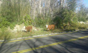 IMG-20160315-WA0037