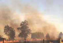 Incendio forestal consume 50 hectáreas camino a La Misión