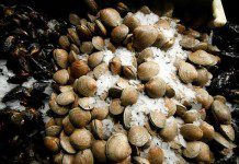 Fiscalizan para evitar extracción y comercio de mariscos con marea roja