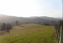 18 detenidos en desalojo de comunidad mapuche por usurpación de predio en San Juan de la Costa