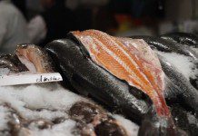 Anuncian recurso de protección en favor de trabajadores a bordo de nave con pescados en descomposición en Calbuco