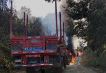 Asociación de contratistas forestales rechaza nuevo atentado en Tirúa.