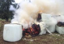 Aumenta en un 300% los delitos de connotación indígena en la región de Los Ríos