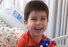 El pequeño León no recibió un corazón, pero se ha ganado el de todos los chilenos.