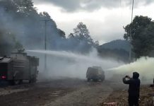 500 vecinos movilizados en Neltume buscan negociar con autoridades por despido de 200 trabajadores en el sector