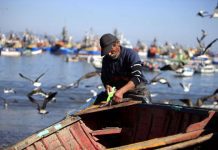 Aportes solidarios y ayuda en empleo serían primeras medidas para paliar efectos de Marea Roja