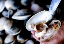 Minsal asegura que problema de marea roja va en aumento en la región de Los Lagos