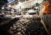 Alcaldes del sector costero temen problemas en la economía local por presencia de marea roja en la zona.