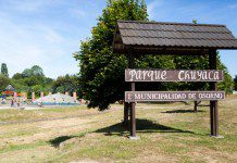 Efectúan hallazgo de osamentas humanas en medio de faenas en Parque Chuyaca de Osorno