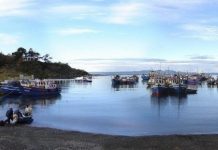 Pescadores artesanales aseguran que no hay marea roja en litoral de San Juan de la Costa. Cuestionan medidas del Gobierno