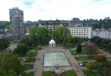 Municipalidad de Osorno licitará estudio de arboles de Plaza de Armas y otros sectores.