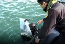 Cierran toda la costa de la región de Los Ríos por expansión de marea roja.