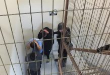 No habrá más beneficios, según la Comisión de Libertad Condicional de Puerto Montt.