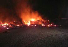 Ataque incendiario afectó esta madrugada a Forestal Arauco en La Unión