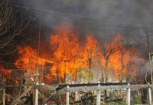 Incendio destruyó mediagua de adulto mayor en campamento de Osorno