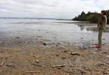 Seremi Obras Públicas: «Descenso en niveles de los lagos no es algo nuevo»