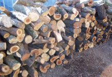 86% de la leña en Osorno se comercializa de manera informal y sólo el 10% es leña seca