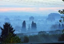 Replicarán Plan de Descontaminación de Osorno en otras ciudades de la región