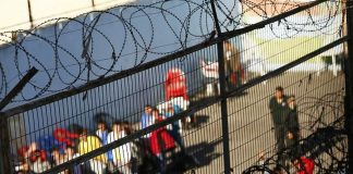 Reo que pretendía fugarse mantenía oculta una sierra en su recto en Puerto Montt.