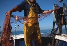 Gobierno presentó compromiso de 20 medidas para favorecer a la Pesca Artesanal