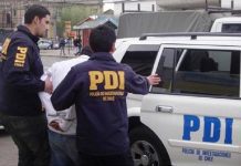 Perro policial logró detectar droga en un bus del tramo Santiago-Calbuco.