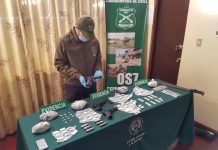 Droga y municiones fueron incautadas tras allanamiento en un inmueble en Puerto Montt.