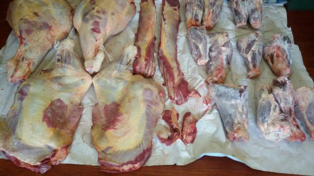 14285627_596625987176344_768310615_o-1