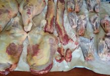 Un celular hallado en un predio delató a cuatreros en Río Bueno